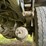 1998-ford-f800-image-40