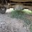 #60-•-#26110-•-2010-dodge-ram-pickup-vin:-1d7rv1gt3as218850-image-12