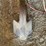 brillon-9-shank-ripper,-3pt.-image-7