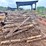 #1039-•-7’-round-cedar-posts-4-6”-tops-(100-pcs.)-image-2