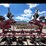 #9120-•-dave-koenig-cultivator,-3-pt-folding-image-10