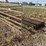 l1---cattle-panels-image-1