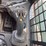 2018-bobcat-t770-image-16
