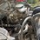 1992-ford-f700-image-26