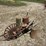 oliver-superior-walking-planter-image-7