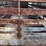 l2---bumper-pull-livestock-trailer-image-7