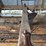 oliver-chilled-plow-works-15”-walking-plow-image-16