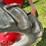ih-farmall-b,-gas,-nf,-pto,-belt-pulley-image-10