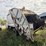1998-ford-l8513-image-3