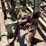 #9041-•-3-pt-spike-tooth-tillage-implement-custom-image-31