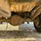 1997-ford-f350-image-37
