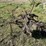 john-deere-5-image-4