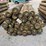 qty-(35)-unused-6-7"x8'-tapered-pressure-treated-posts-image-2
