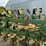 john-deere-85-image-5