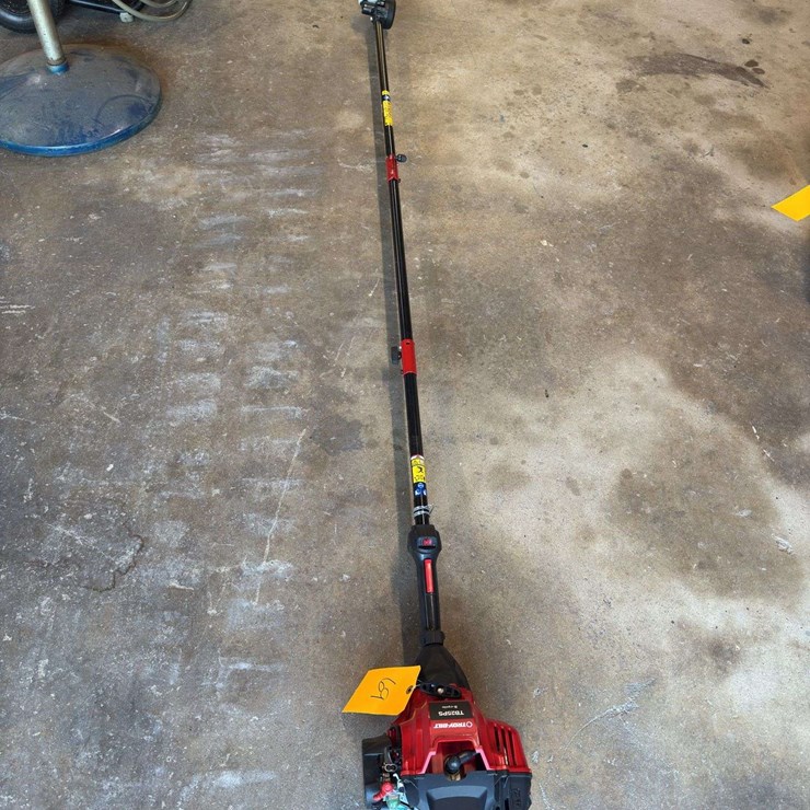 Troy-Bilt TB25PS Pole Saw
