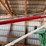 buhler-farm-king-851-image-8