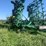 john-deere-1900-image-2