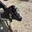 l2---2023-heavy-equipment-trailer-image-5