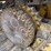 2017-deere-950k-lgp-image-51