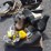 misc-harley-davidson-seats,-back-rest,-air-cover,-mirros,-headlight-assembly-image-3