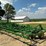 john-deere-980-image-1