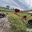 2014-westfield-wr-60-31-auger-image-9
