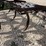 l2---jd-3pt-chisel-plow-image-7