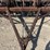 international-10-image-12