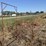 l1---livestock-entry-gate-image-1