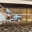 ernst-screen-remover---syracuse,-ut-image-23