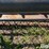 2001-case-ih-1020-image-15