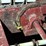 #121-•-unscrambler-image-9