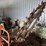 ditch-witch-with-wisconsin-engine,-64”-blade,-8’-stick,-5”-trench-image-12