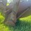 john-deere-plow-image-14