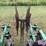 john-deere-rm-image-10