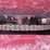 case-ih-1063-image-20