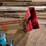 #3029-•-snowco-6"-grain-auger-image-3