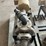 mp-pump-with-5hp-electric-motor-image-7