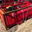unused-raytree-rmbd72-72"-drum-mulcher-image-3