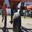 massey-ferguson-129-image-18