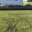 (16)-3”x12”x26’-approx,-creosote-bridge-planks-image-2