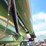 demco-850-image-17