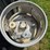 focklift-lp-tank-image-4