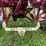 ih-460-tractor-image-14