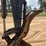 2018-deere-50g-image-10