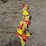 flag-markers,-buying-all-for-one-money-image-4
