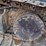 2018-komatsu-pc290-lc-11-image-34