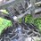 2011-polaris-ranger-500-image-18