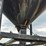 bulk-seed-hopper-(mn1101)-image-5