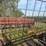 livestock-feeder-wagon-image-2